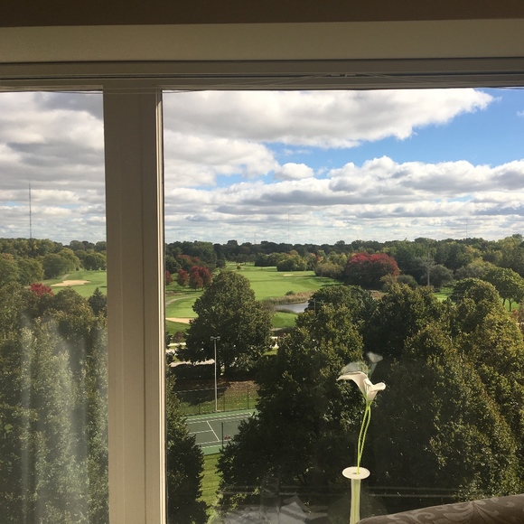 Meet your Posher, Ma - Picture 1 of 1